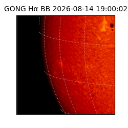 gong - 2026-08-14T19:00:02