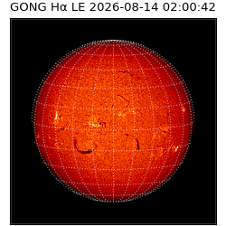 gong - 2026-08-14T02:00:42
