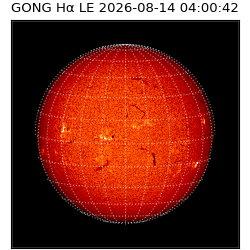 gong - 2026-08-14T04:00:42
