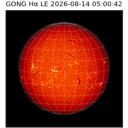 gong - 2026-08-14T05:00:42