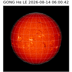 gong - 2026-08-14T06:00:42