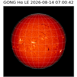 gong - 2026-08-14T07:00:42