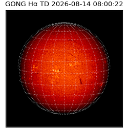 gong - 2026-08-14T08:00:22