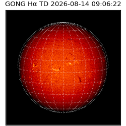 gong - 2026-08-14T09:06:22