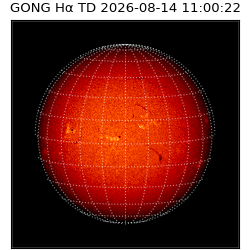 gong - 2026-08-14T11:00:22