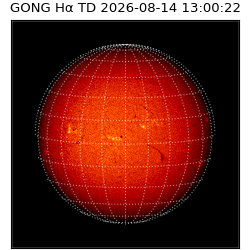 gong - 2026-08-14T13:00:22
