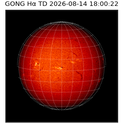 gong - 2026-08-14T18:00:22