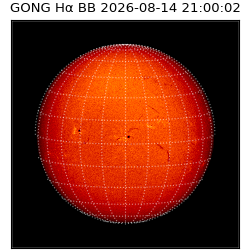 gong - 2026-08-14T21:00:02