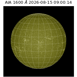 saia - 2026-08-15T09:00:14.124000
