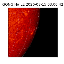 gong - 2026-08-15T03:00:42