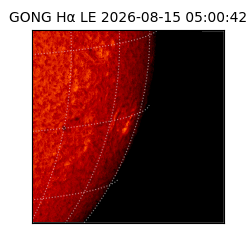 gong - 2026-08-15T05:00:42
