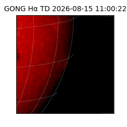 gong - 2026-08-15T11:00:22
