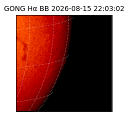 gong - 2026-08-15T22:03:02