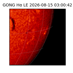 gong - 2026-08-15T03:00:42