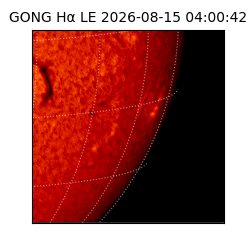 gong - 2026-08-15T04:00:42