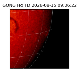 gong - 2026-08-15T09:06:22