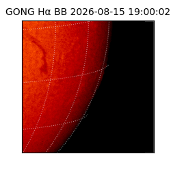 gong - 2026-08-15T19:00:02