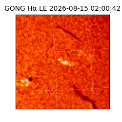 gong - 2026-08-15T02:00:42