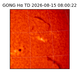 gong - 2026-08-15T08:00:22