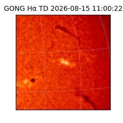 gong - 2026-08-15T11:00:22