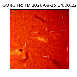 gong - 2026-08-15T14:00:22