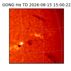 gong - 2026-08-15T15:00:22