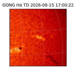 gong - 2026-08-15T17:00:22