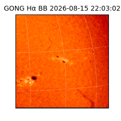 gong - 2026-08-15T22:03:02