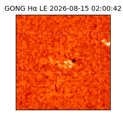 gong - 2026-08-15T02:00:42