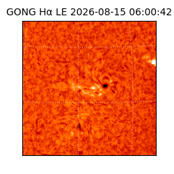 gong - 2026-08-15T06:00:42