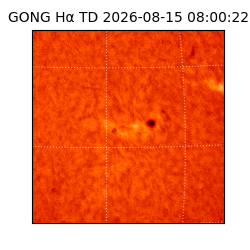 gong - 2026-08-15T08:00:22