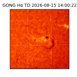 gong - 2026-08-15T14:00:22