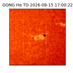 gong - 2026-08-15T17:00:22