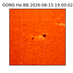 gong - 2026-08-15T19:00:02