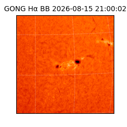 gong - 2026-08-15T21:00:02