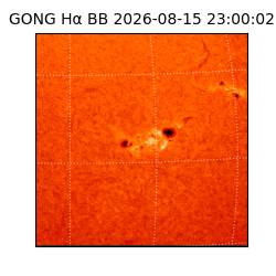 gong - 2026-08-15T23:00:02