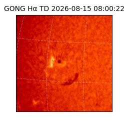 gong - 2026-08-15T08:00:22