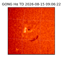gong - 2026-08-15T09:06:22
