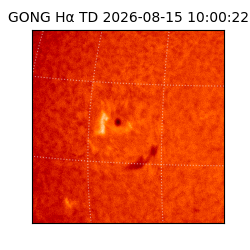 gong - 2026-08-15T10:00:22