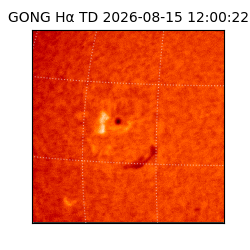 gong - 2026-08-15T12:00:22