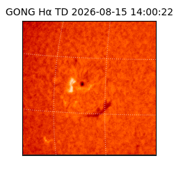 gong - 2026-08-15T14:00:22