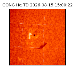 gong - 2026-08-15T15:00:22