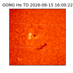 gong - 2026-08-15T16:00:22
