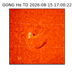 gong - 2026-08-15T17:00:22