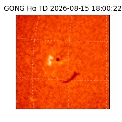 gong - 2026-08-15T18:00:22