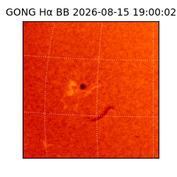 gong - 2026-08-15T19:00:02