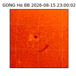 gong - 2026-08-15T23:00:02