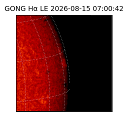 gong - 2026-08-15T07:00:42