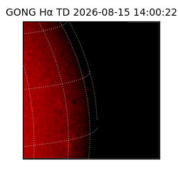 gong - 2026-08-15T14:00:22