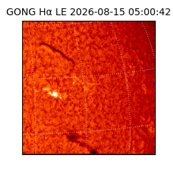 gong - 2026-08-15T05:00:42